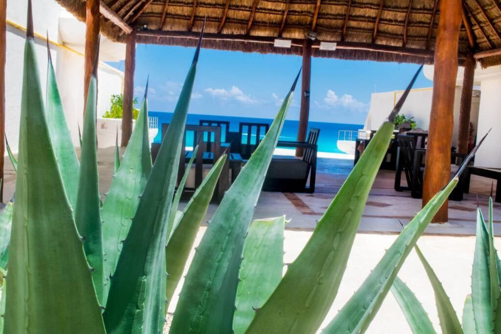 Villas Marlin 108, A Pie De Playa, Albercas, Jacuzi, Ubicacion Inmejorable Канкун Екстериор снимка