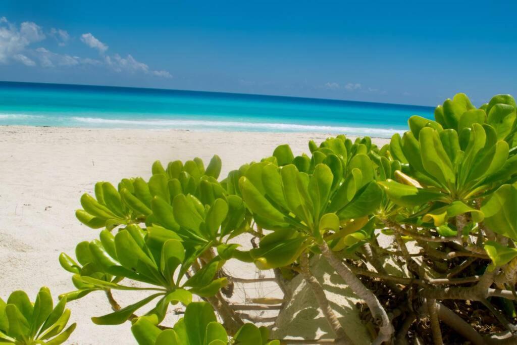 Villas Marlin 108, A Pie De Playa, Albercas, Jacuzi, Ubicacion Inmejorable Канкун Екстериор снимка